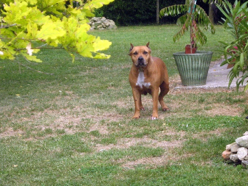 Sephora de la terre des anges