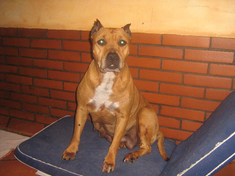 Sephora de la terre des anges