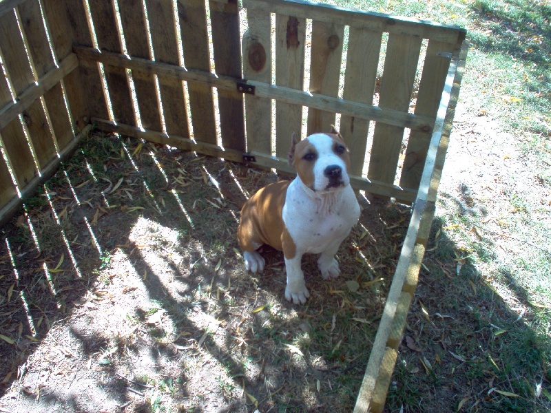 Magic-ster des Guerriers Occitans