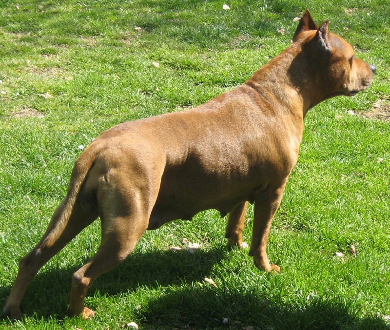 Sephora de la terre des anges