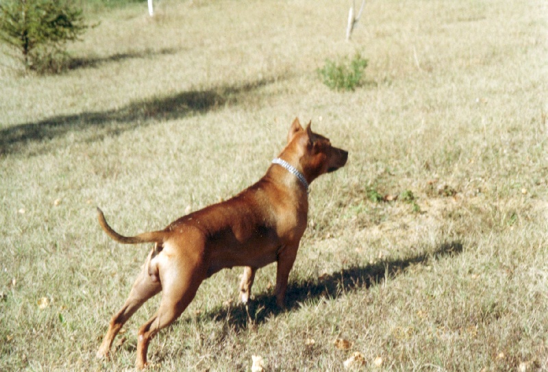 Sephora de la terre des anges