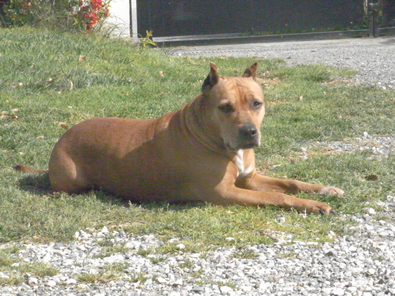 Sephora de la terre des anges