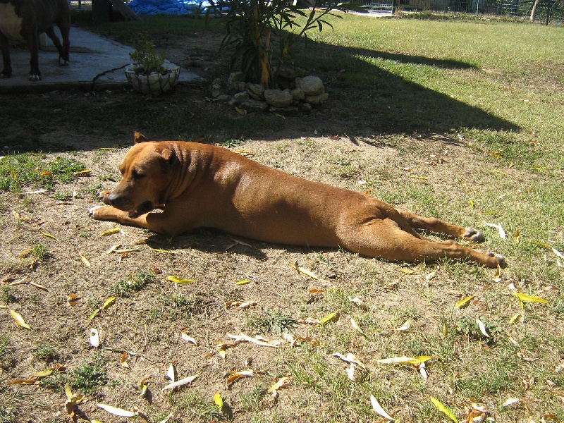 Sephora de la terre des anges
