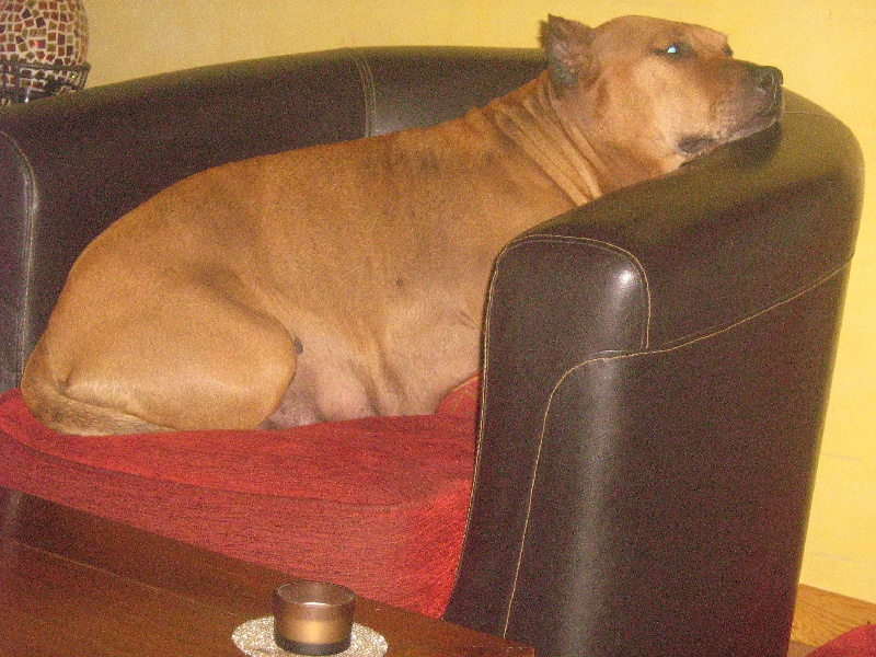 Sephora de la terre des anges