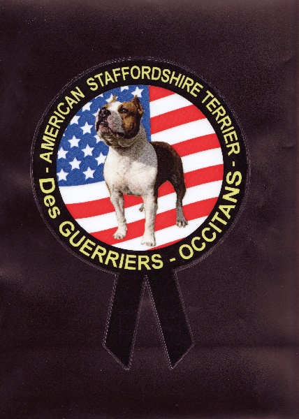 Magic-ster des Guerriers Occitans