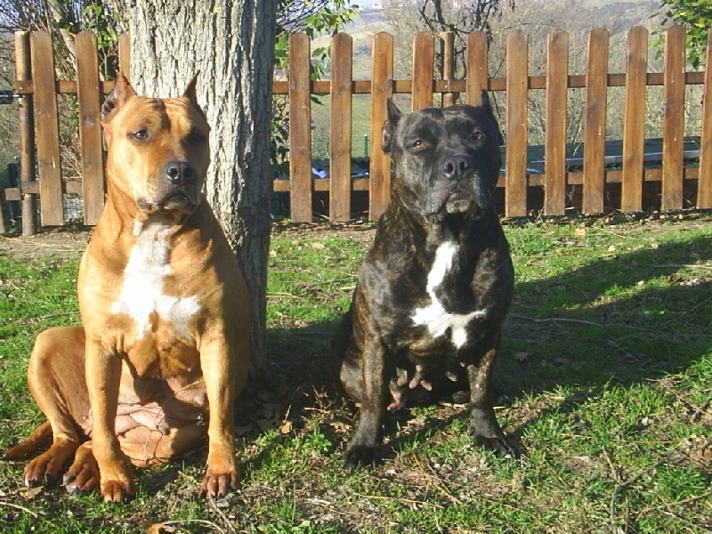 Sephora de la terre des anges