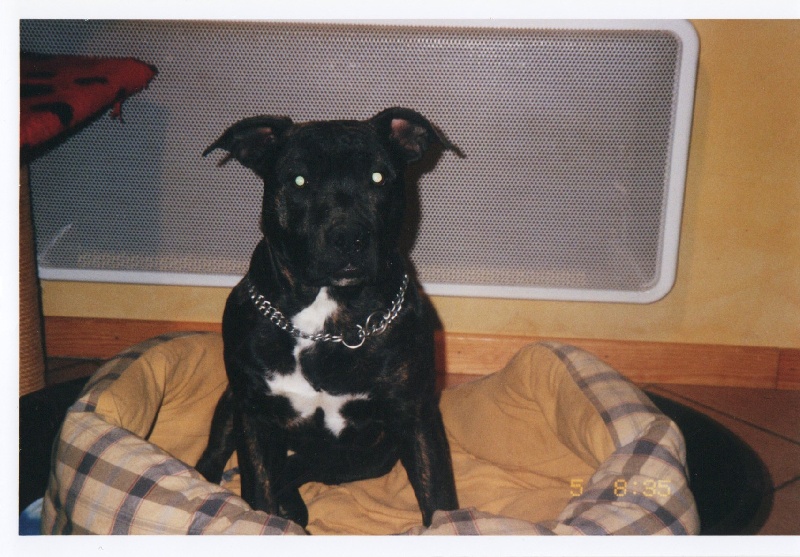 Unaya des Guerriers Occitans