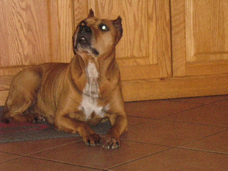 Sephora de la terre des anges