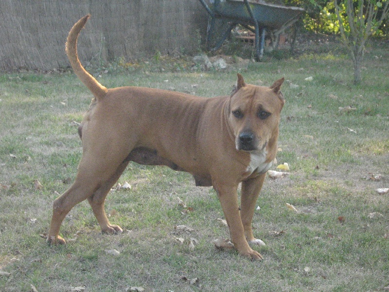 Sephora de la terre des anges