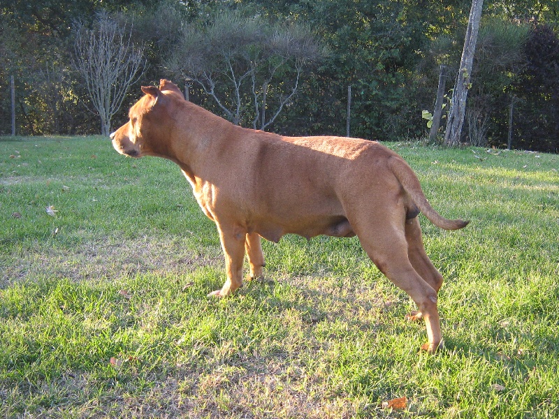 Sephora de la terre des anges