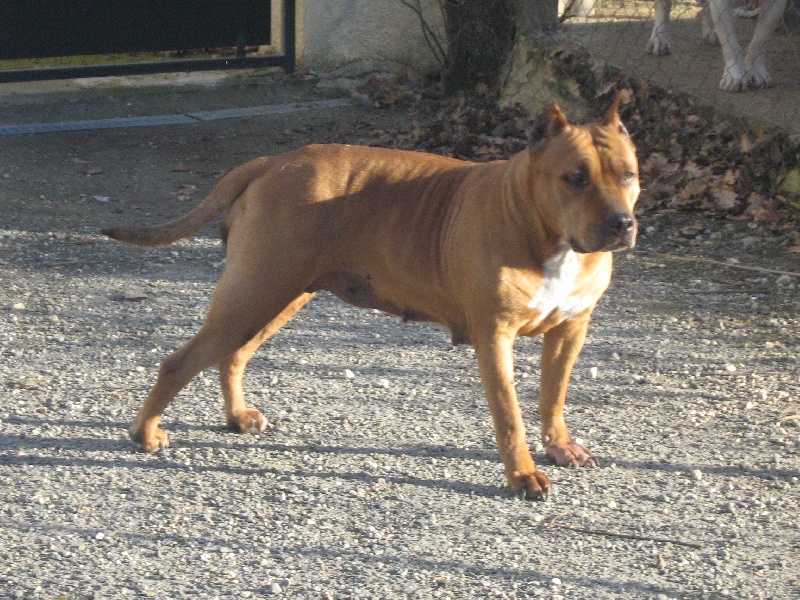 Sephora de la terre des anges