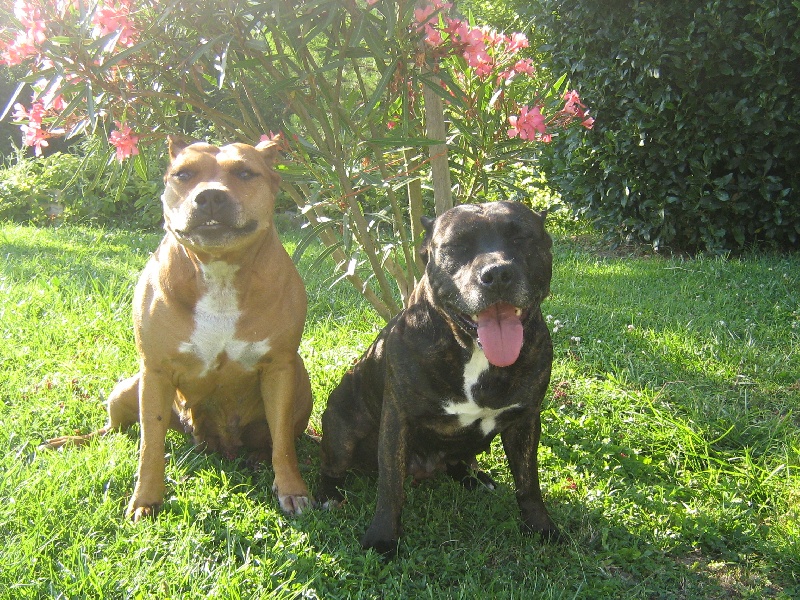 Sephora de la terre des anges