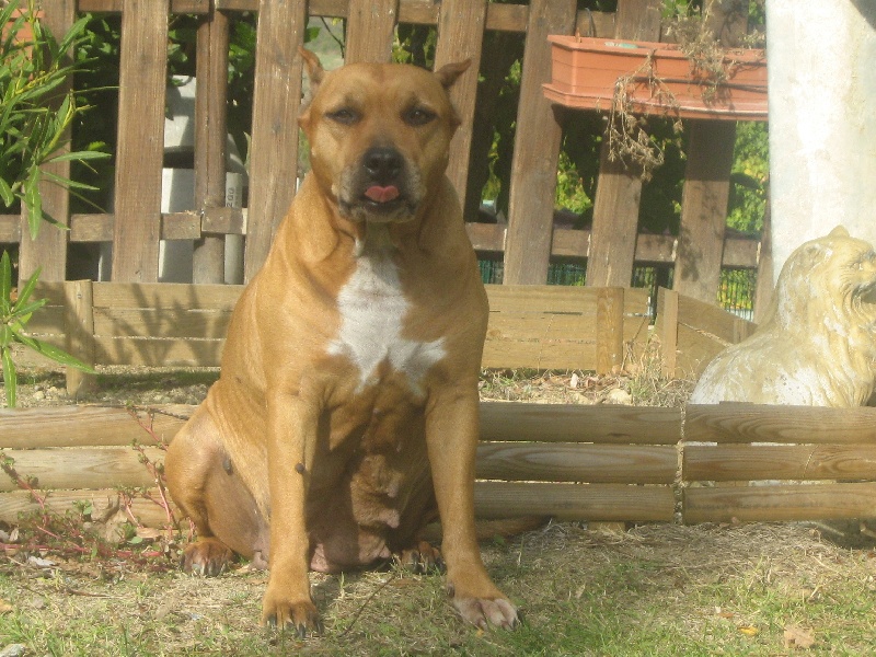 Sephora de la terre des anges