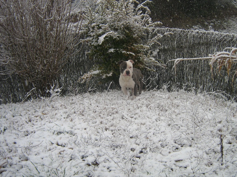 Cerdan ' alias ceusteur ' des Guerriers Occitans