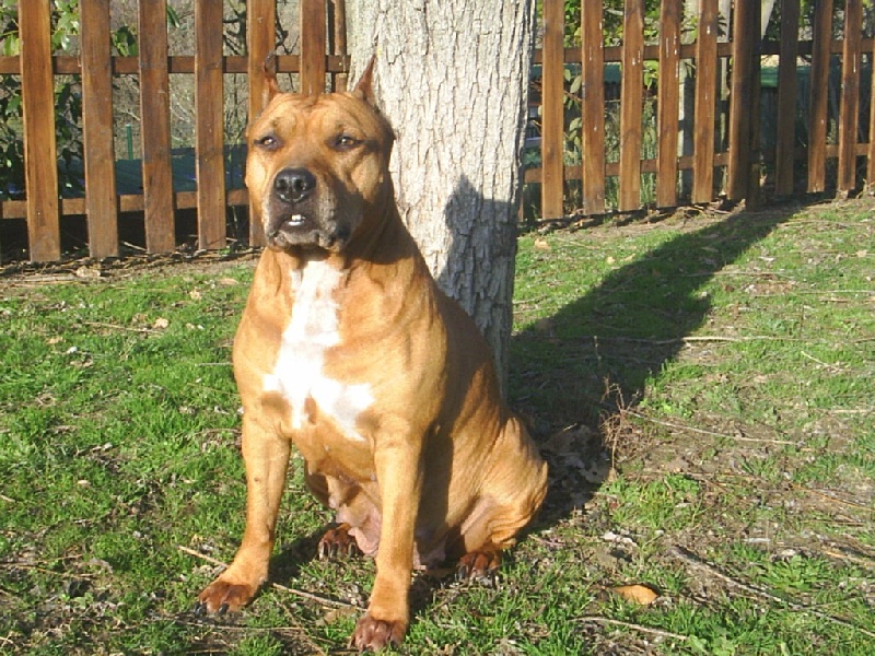 Sephora de la terre des anges