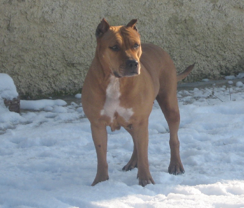 Sephora de la terre des anges