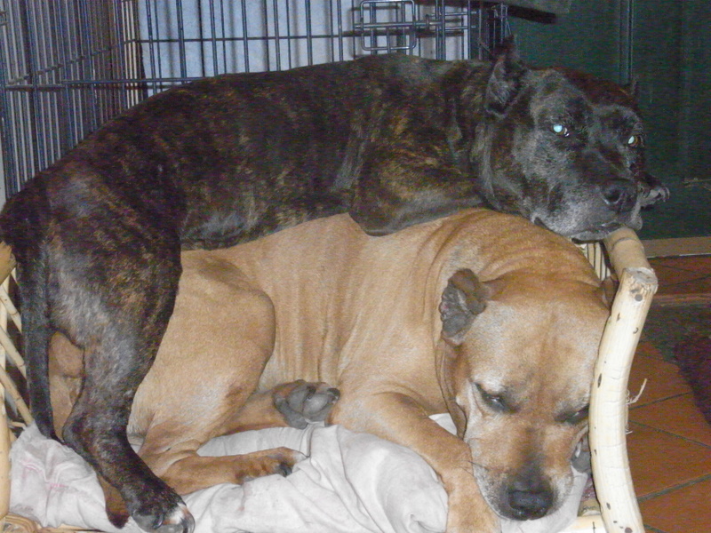 Sephora de la terre des anges