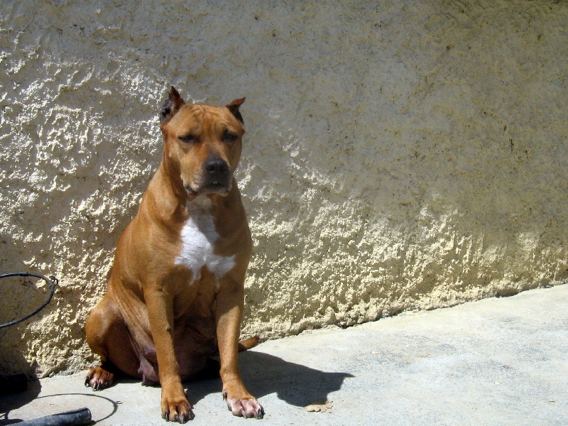 Sephora de la terre des anges