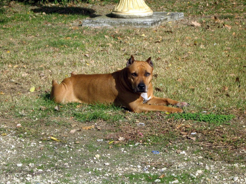 Sephora de la terre des anges