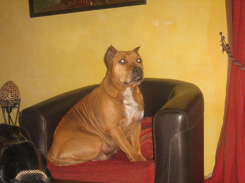 Sephora de la terre des anges