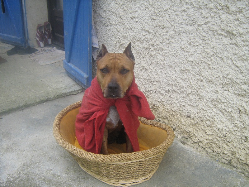 Sephora de la terre des anges