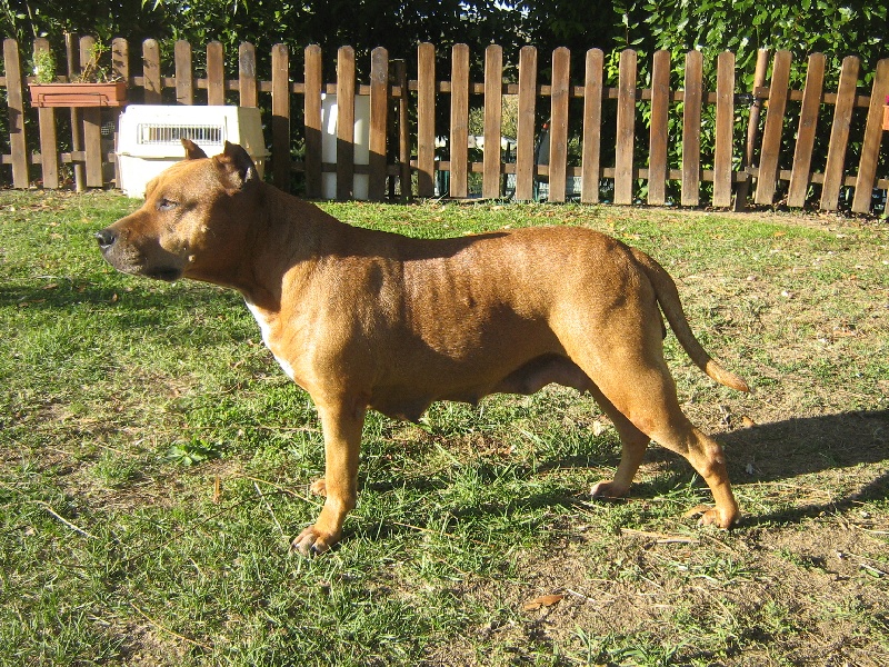 Sephora de la terre des anges