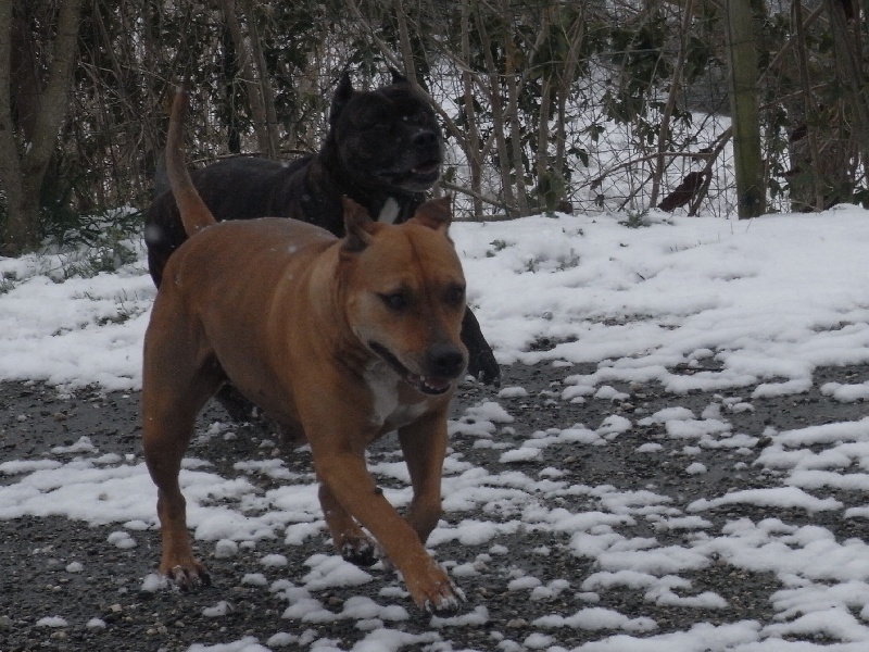 Sephora de la terre des anges