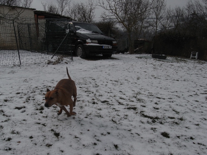 Sephora de la terre des anges
