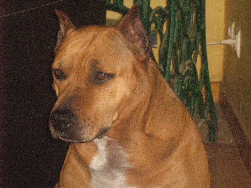 Sephora de la terre des anges