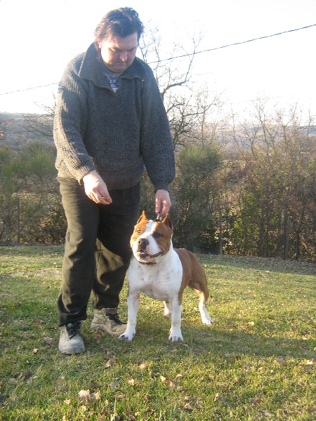 Magic-ster des Guerriers Occitans