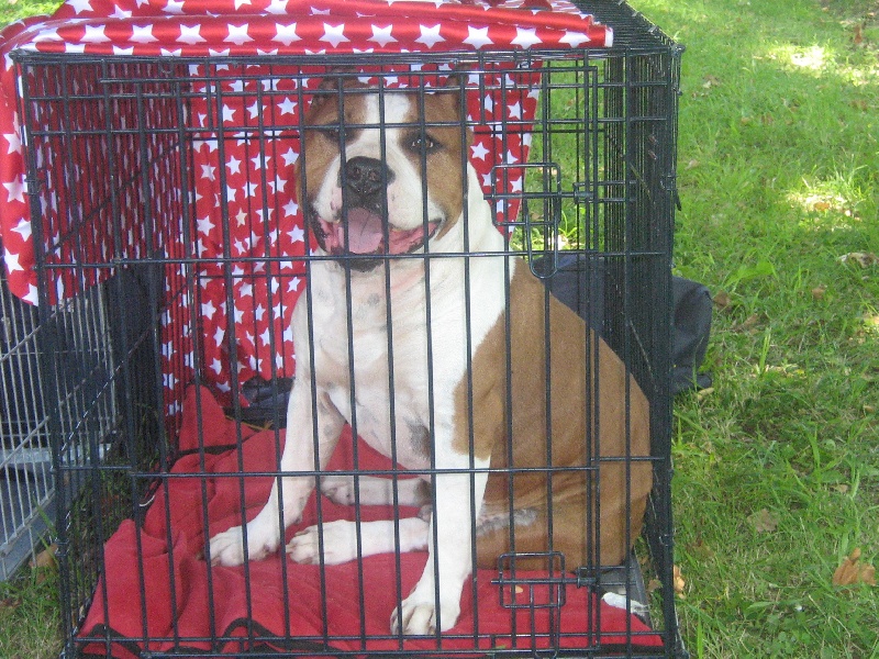 Magic-ster des Guerriers Occitans