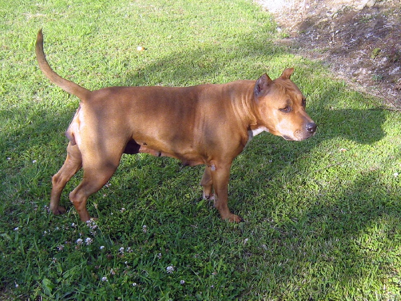 Sephora de la terre des anges