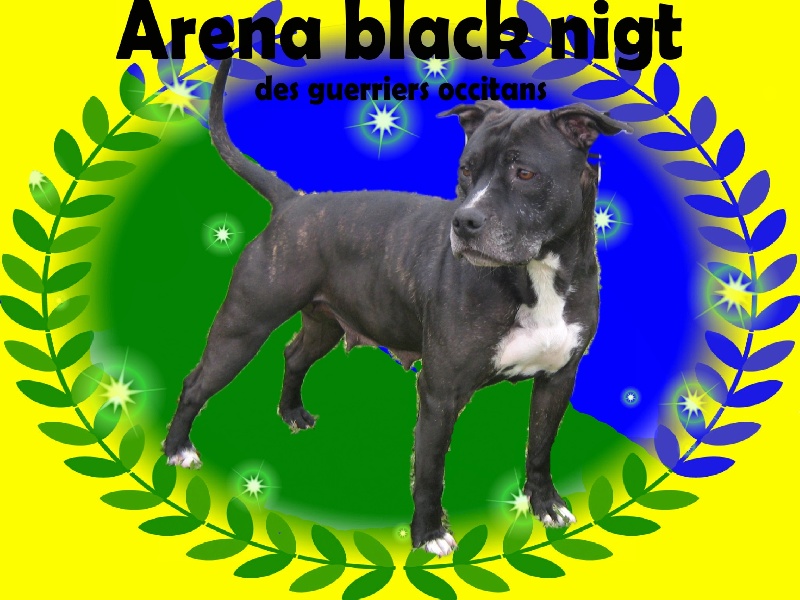 Arena black-night des Guerriers Occitans