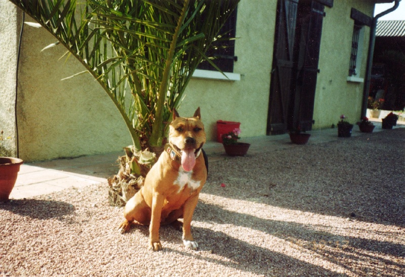 Sephora de la terre des anges