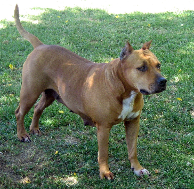 Sephora de la terre des anges