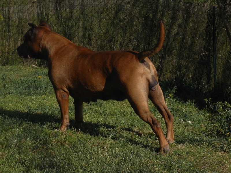 Sephora de la terre des anges