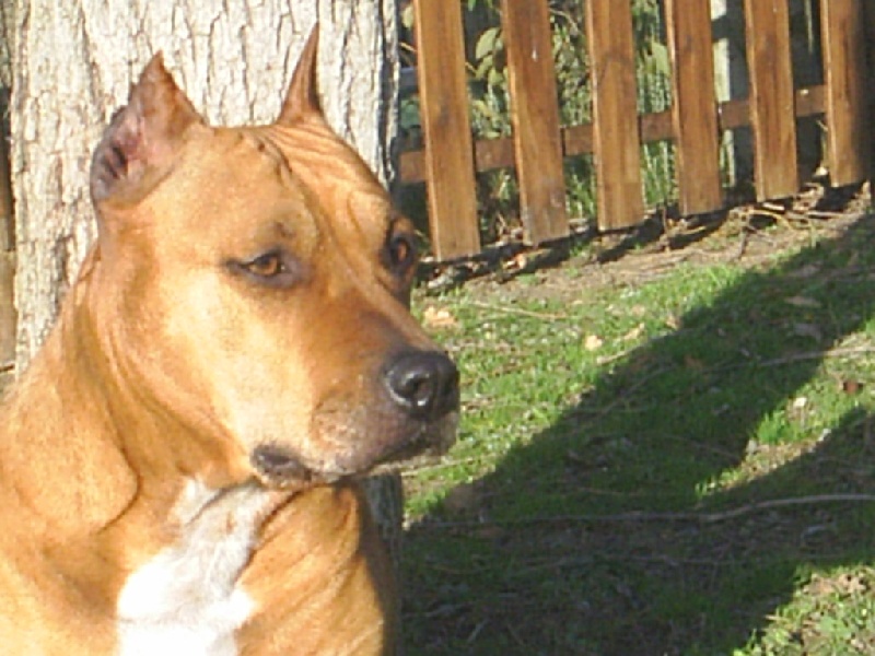 Sephora de la terre des anges