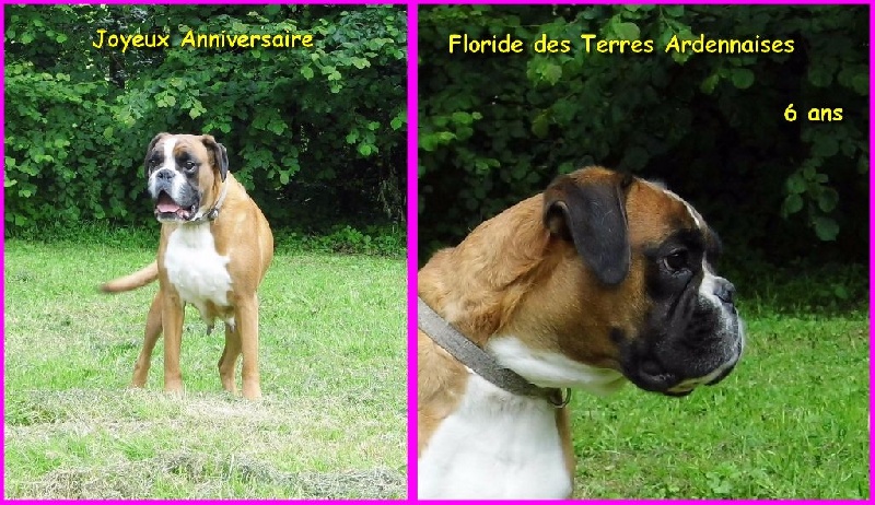 Floride des terres ardennaises
