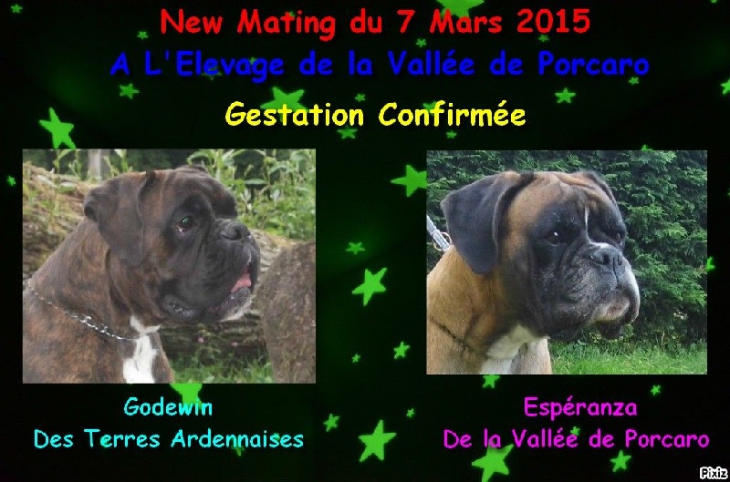 Godewin des terres ardennaises
