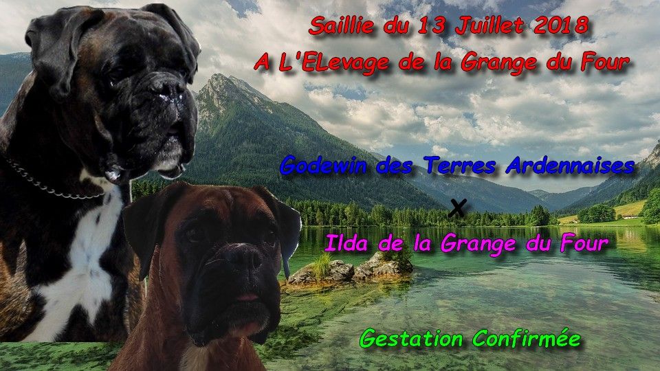 Godewin des terres ardennaises