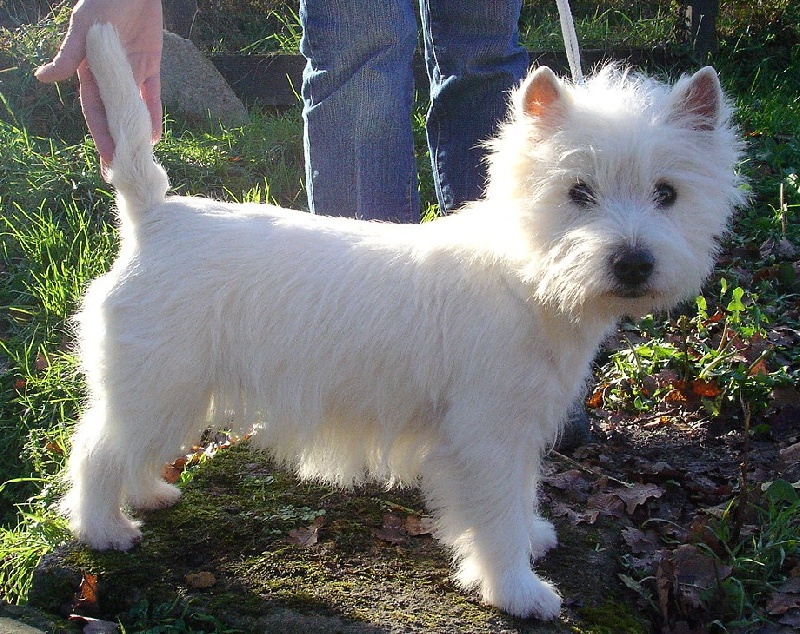 Publication : Mac Khalahann's Auteur : Mac Khalahann