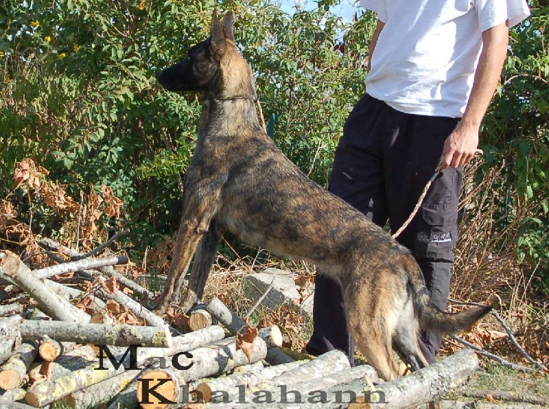 Publication : Mac Khalahann's Auteur : McK