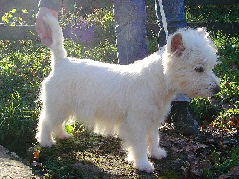 Publication : Mac Khalahann's Auteur : Mac Khalahann