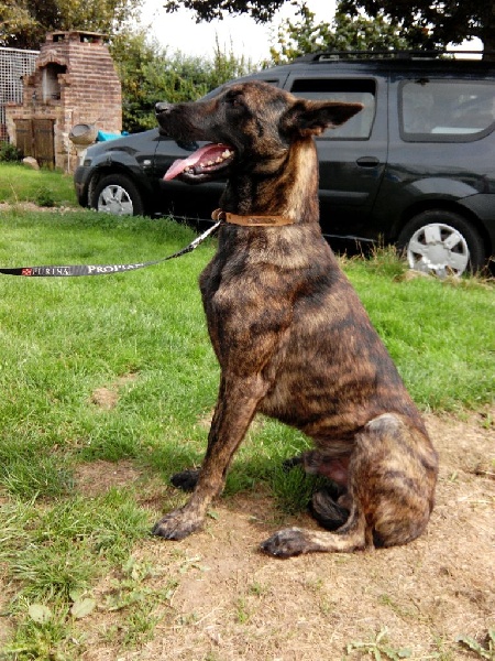 Publication : Mac Khalahann's Auteur : McK