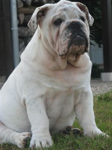 Einstein's génius of Richard Croze