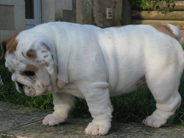 Eming Way of Richard Croze