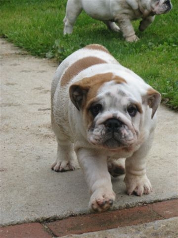 Eming Way of Richard Croze