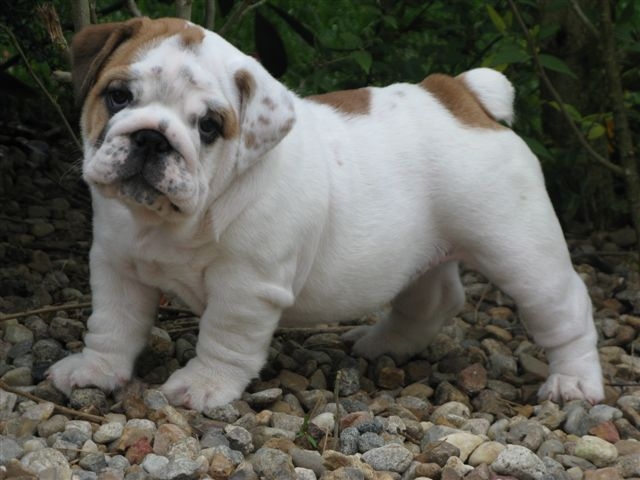 Eming Way of Richard Croze