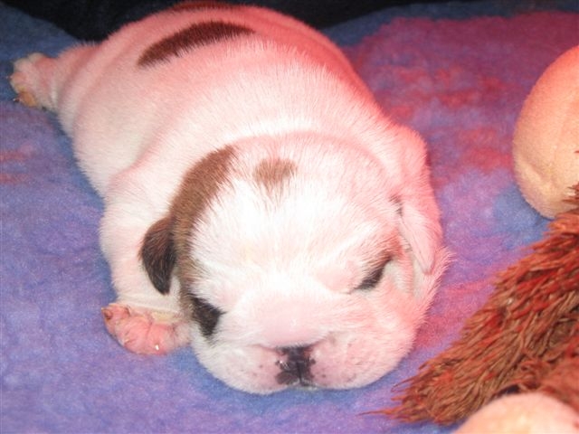 Eming Way of Richard Croze