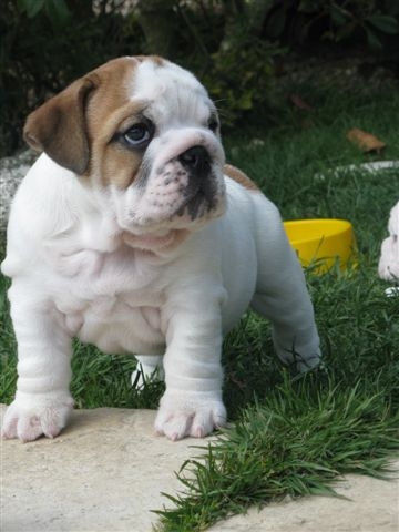 Eming Way of Richard Croze